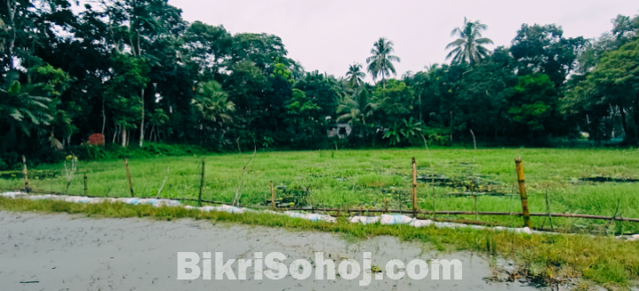 বিনিয়োগের জন্য দারুণ সুযোগ,  কম দামে জমি কিনুন।